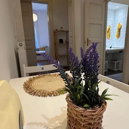 Tribe Nest בודפשט